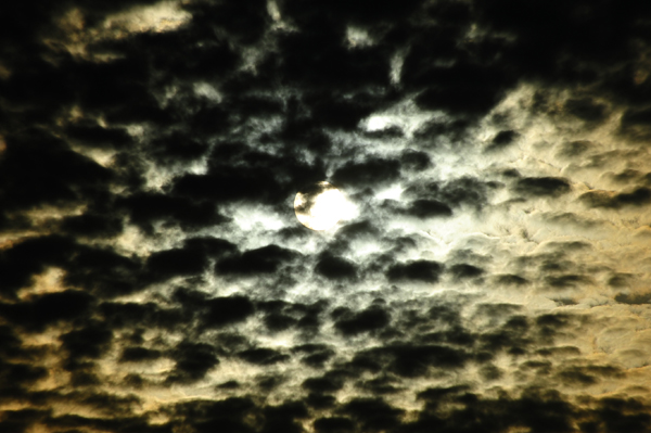 404 550 1 DSC_0132.jpg